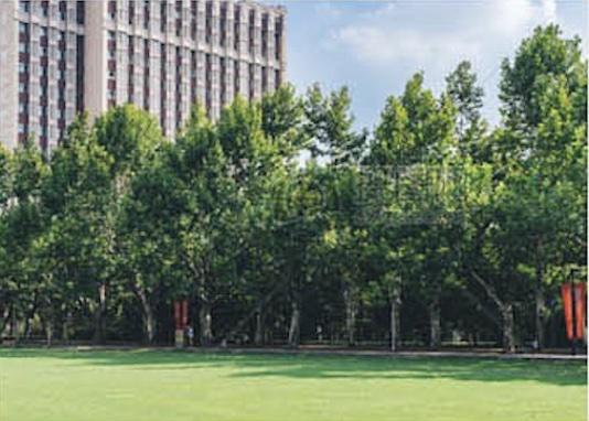 437ccm必赢国际(中国游)官网唯一线路