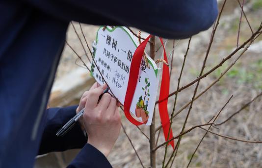 437ccm必赢国际(中国游)官网唯一线路